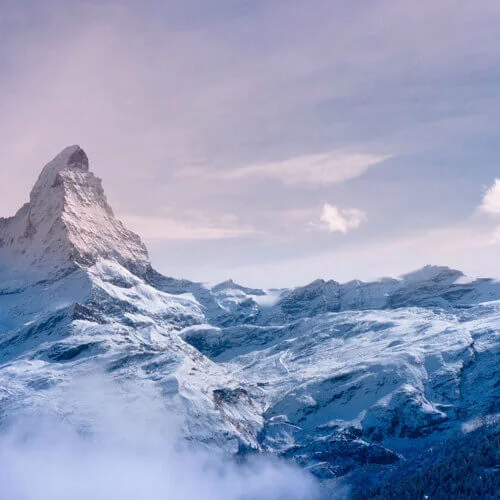 Handy Safari App – So macht Wandern richtig Spass