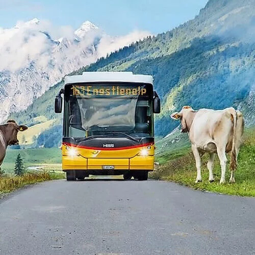 B2B – PostAuto CiBo