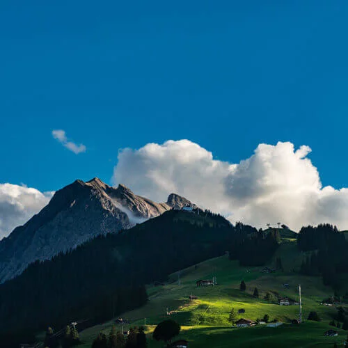 B2C – Eidg. Jodlerfest 2014 – Web